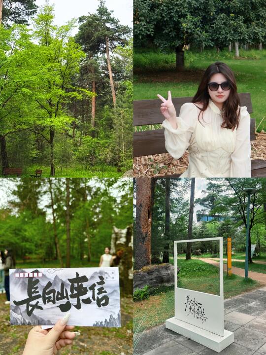 长白山新晋打卡地🌲美人松爱情森林