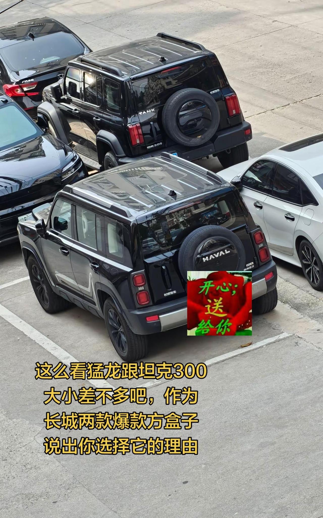 这么看猛龙跟坦克300大小差不多吧，作为长城两款爆款方盒子说出你选择它的理由