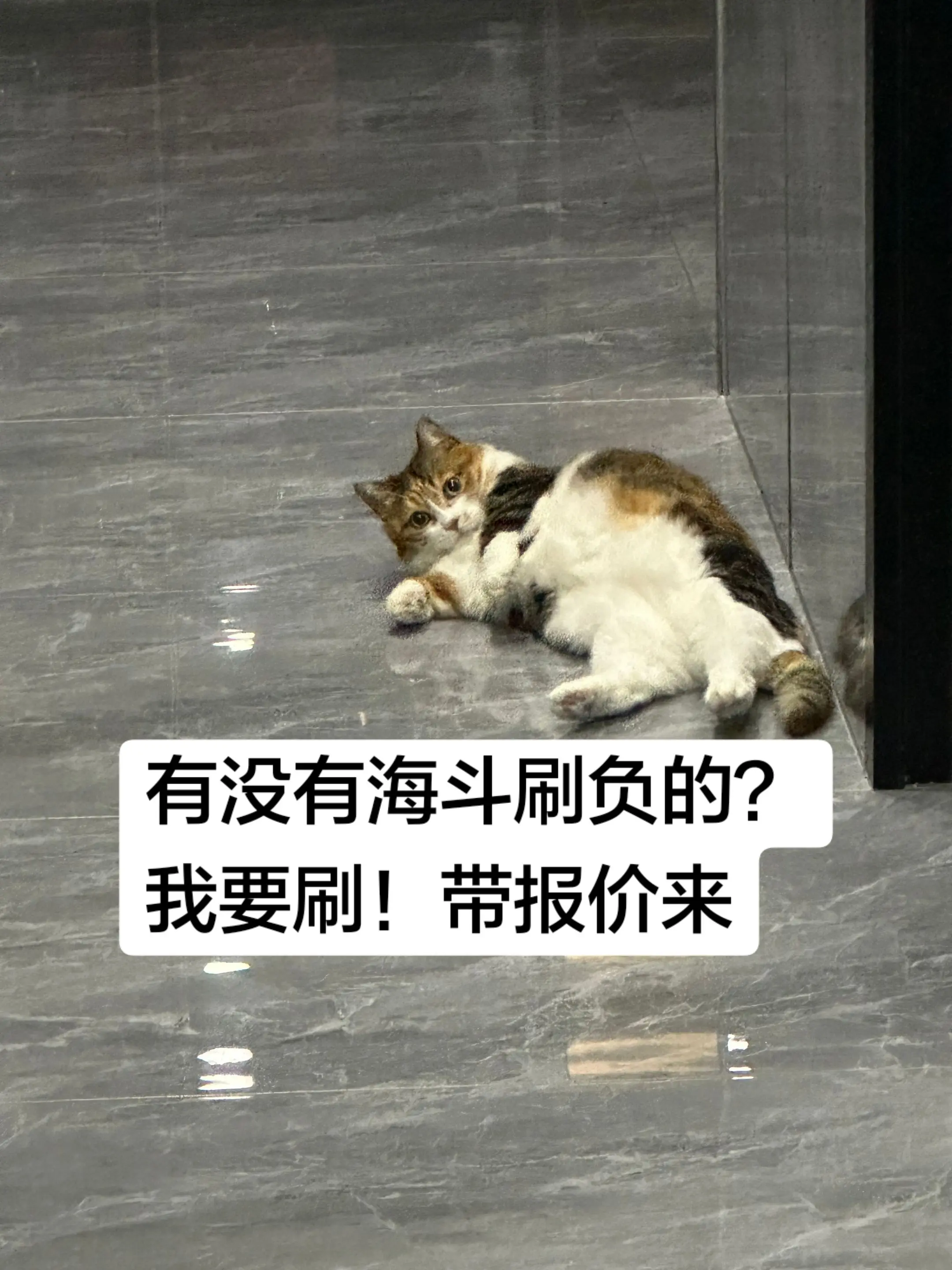 海克斯大乱斗 海斗 刷负