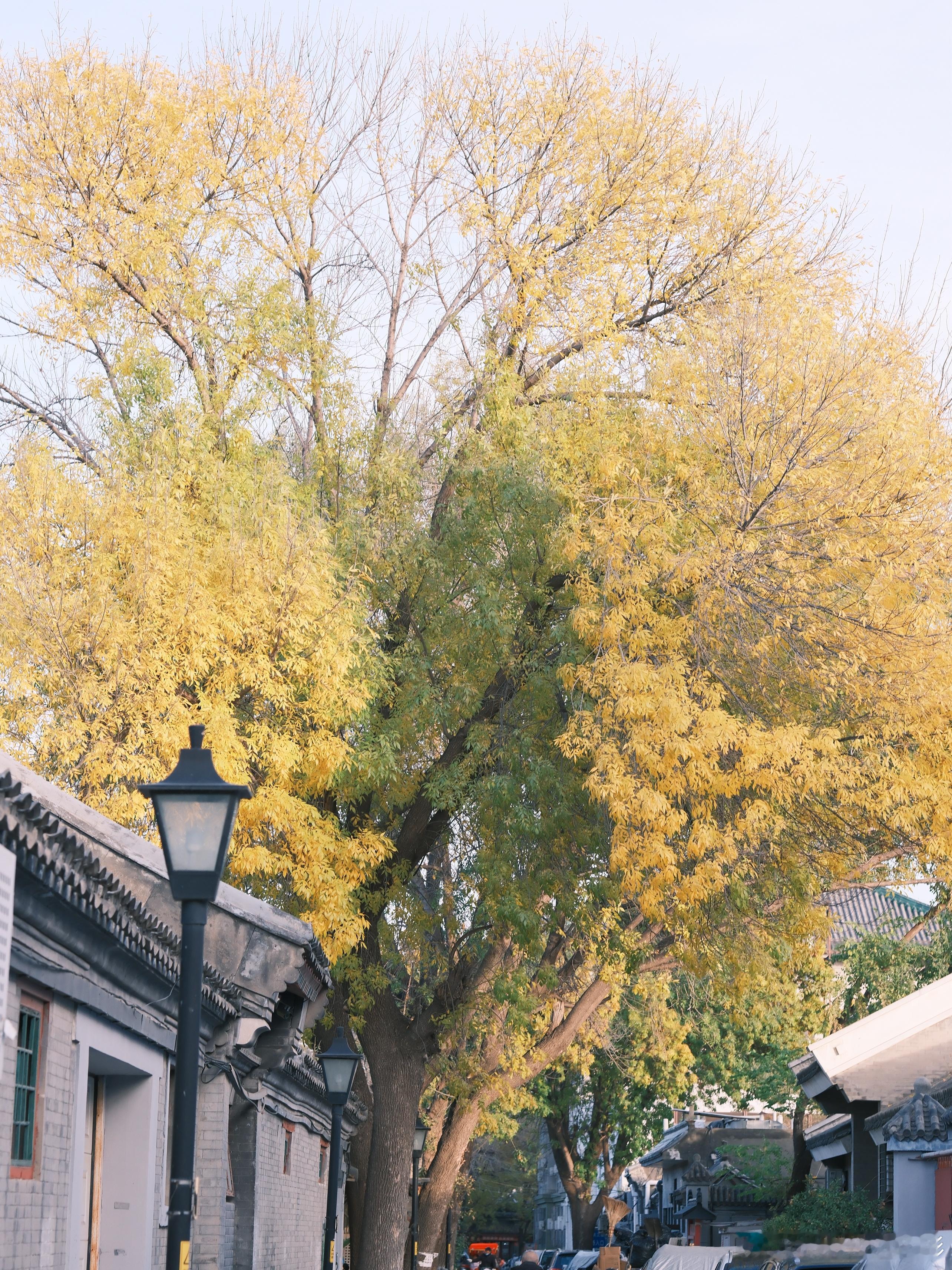 开心快乐每一天😍🎈💅🥰💓💓 