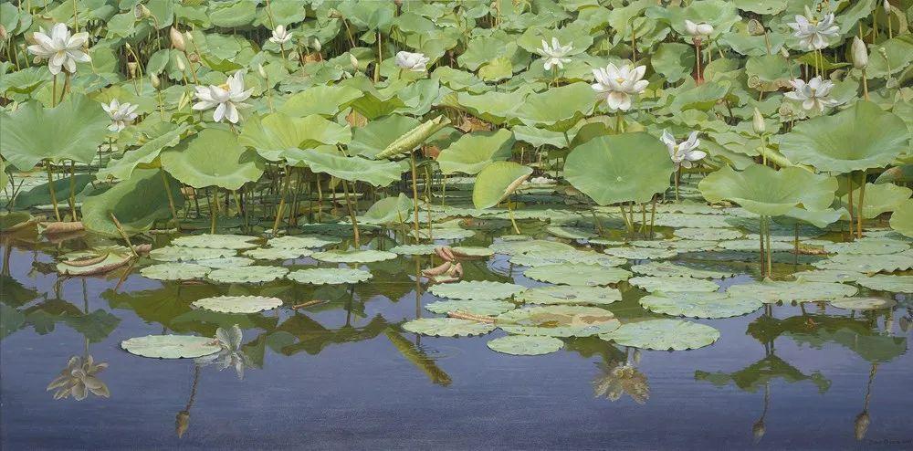 荷兰画家乔克·弗里玛绘画作品欣赏遇见艺术绘画遇见美好遇见艺术