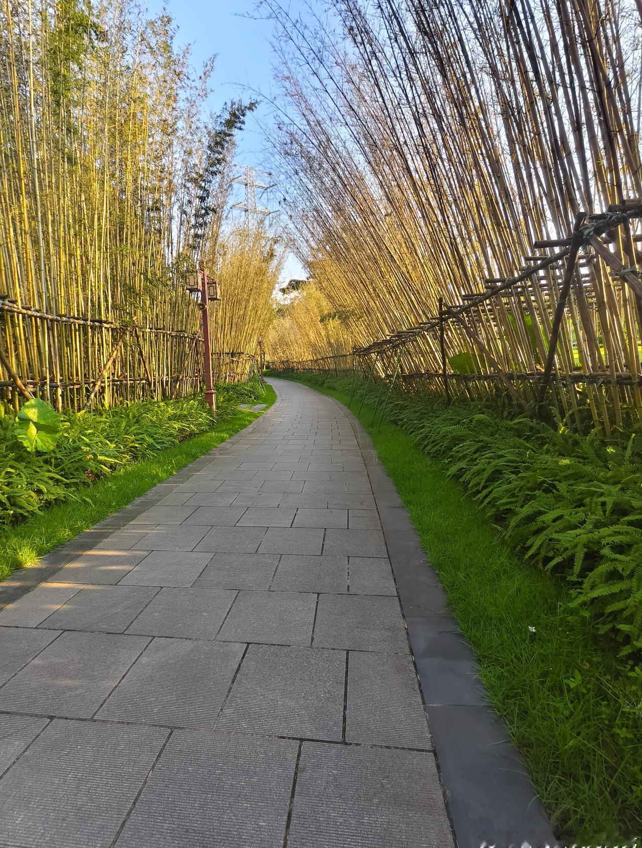 广东的天气主打“无春秋、两极跳”！前几天还靠空调续命、短袖黏身，说不定隔天就被冷