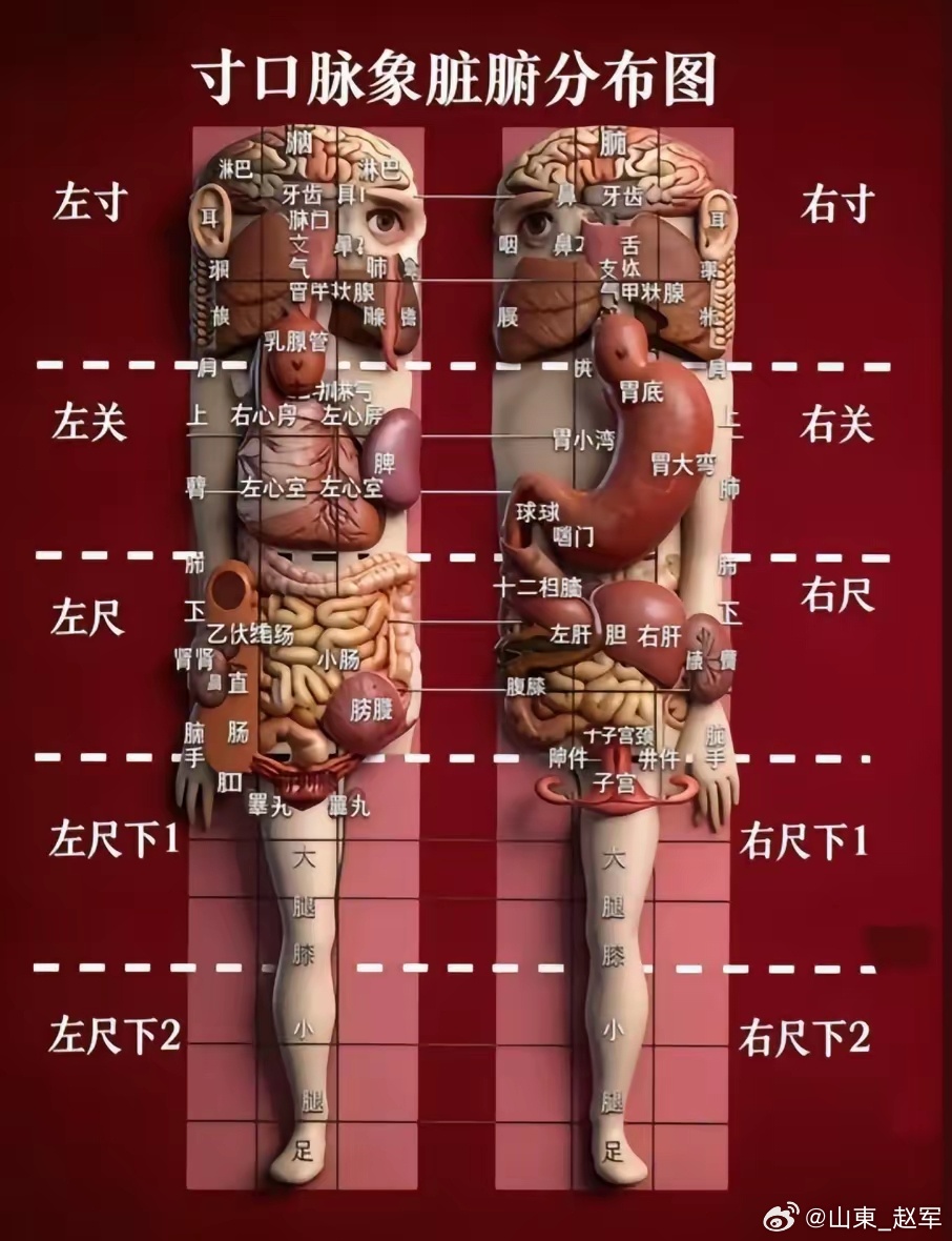 一盏汗液里的阴阳拉锯战：杨乘六巧治“半身汗”的惊心动魄人能三日无食，却不能一日无