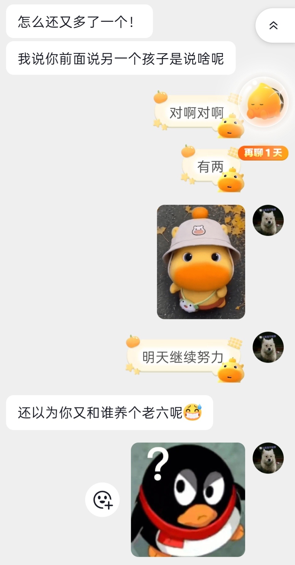 谁和我养老六 养到老六就封肚（） 
