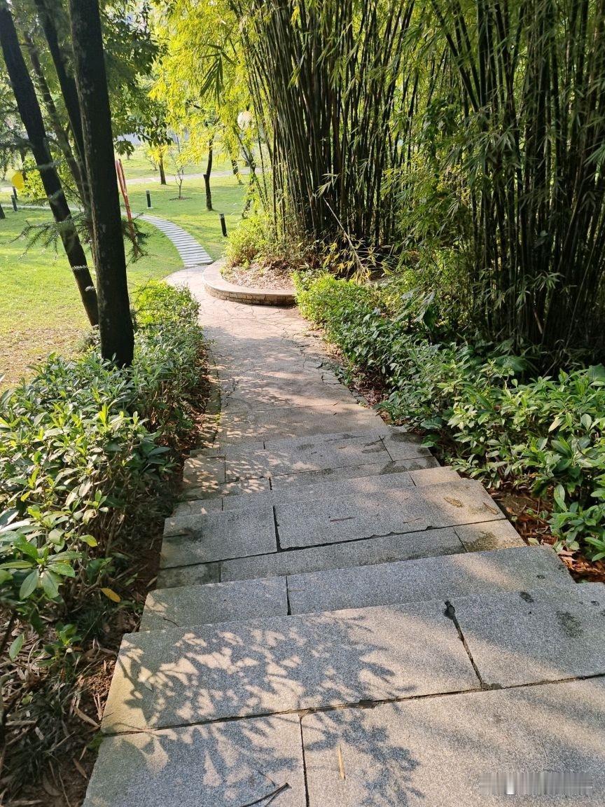 春日漫游指南｜花果山竹径的治愈系慢跑

🌿藏在城市腹地的天然氧，用脚步丈量竹林