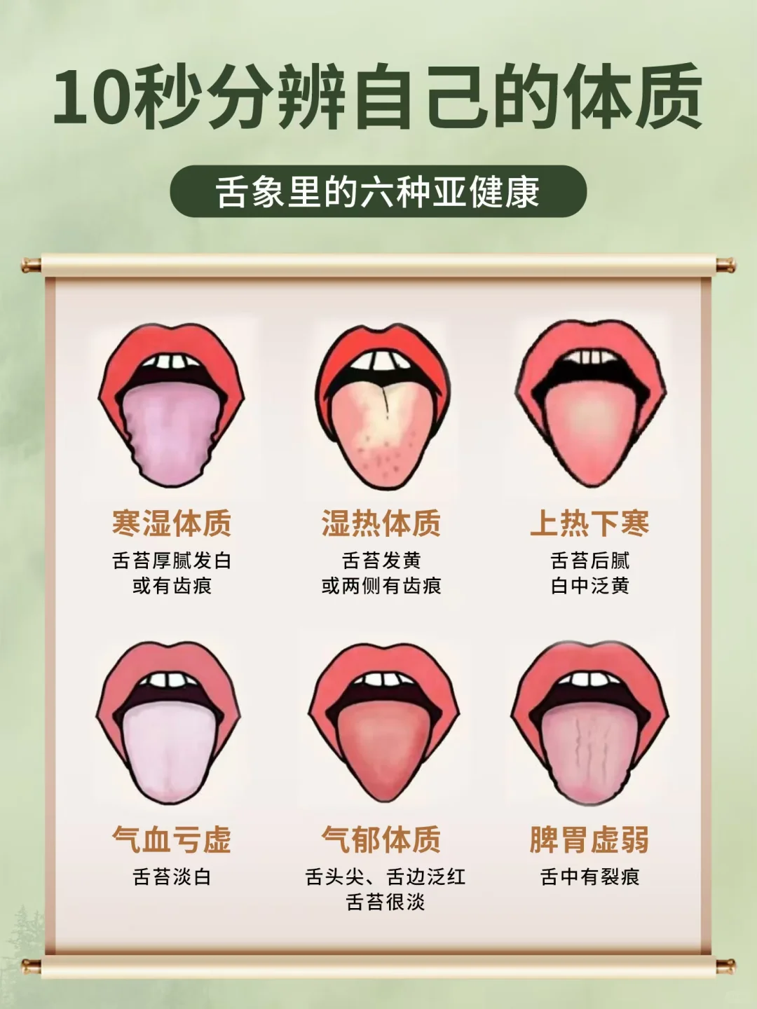 一招教你看舌苔👅让养脾胃更简单～