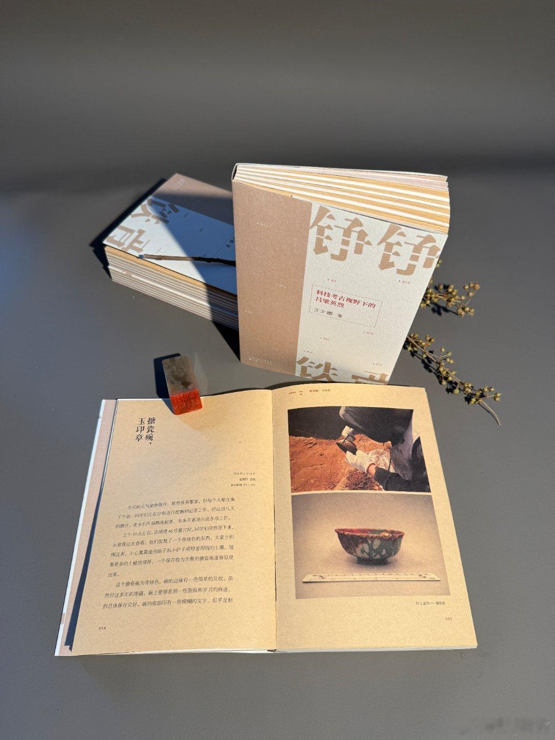 阅读书坊转发赠书关注本书以科技考古的独特视角，全景式记录了南村烈士墓地从田野发掘