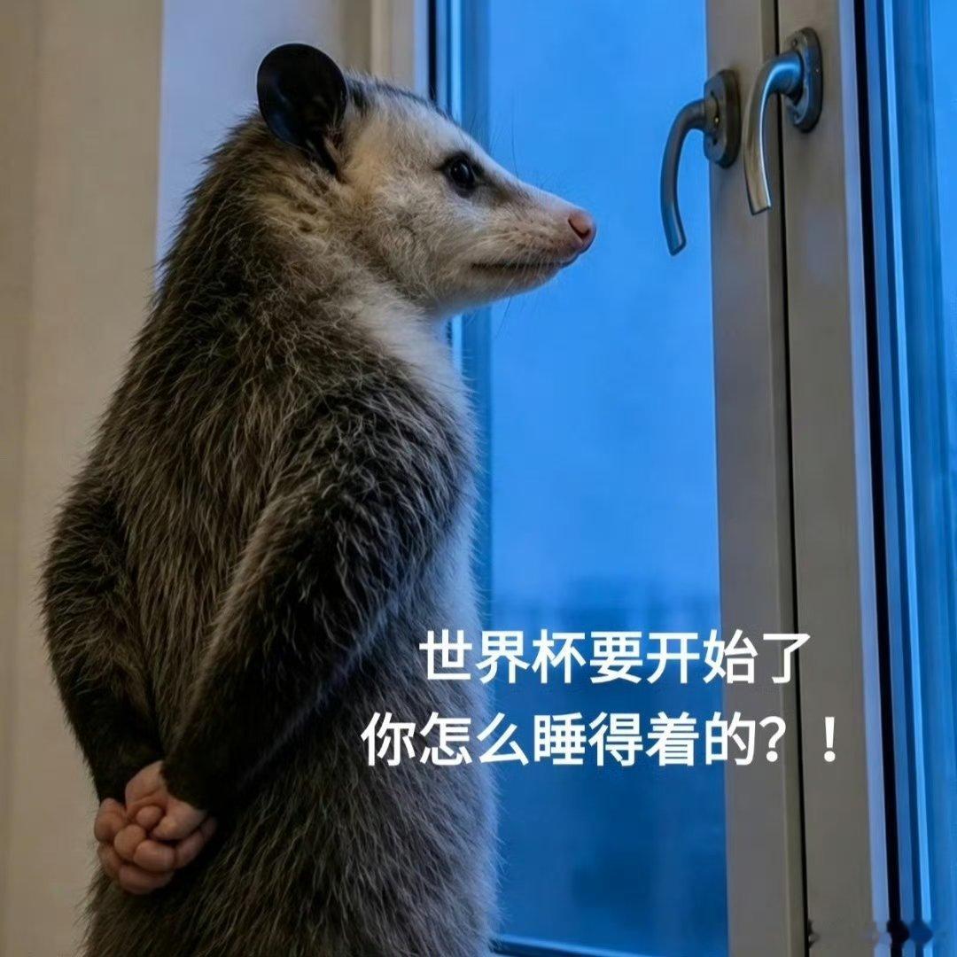 梅西世界波阿尔及利亚反 击 攻 势 凌厉，上半场一度逼得阿根廷防线承压，好在梅西