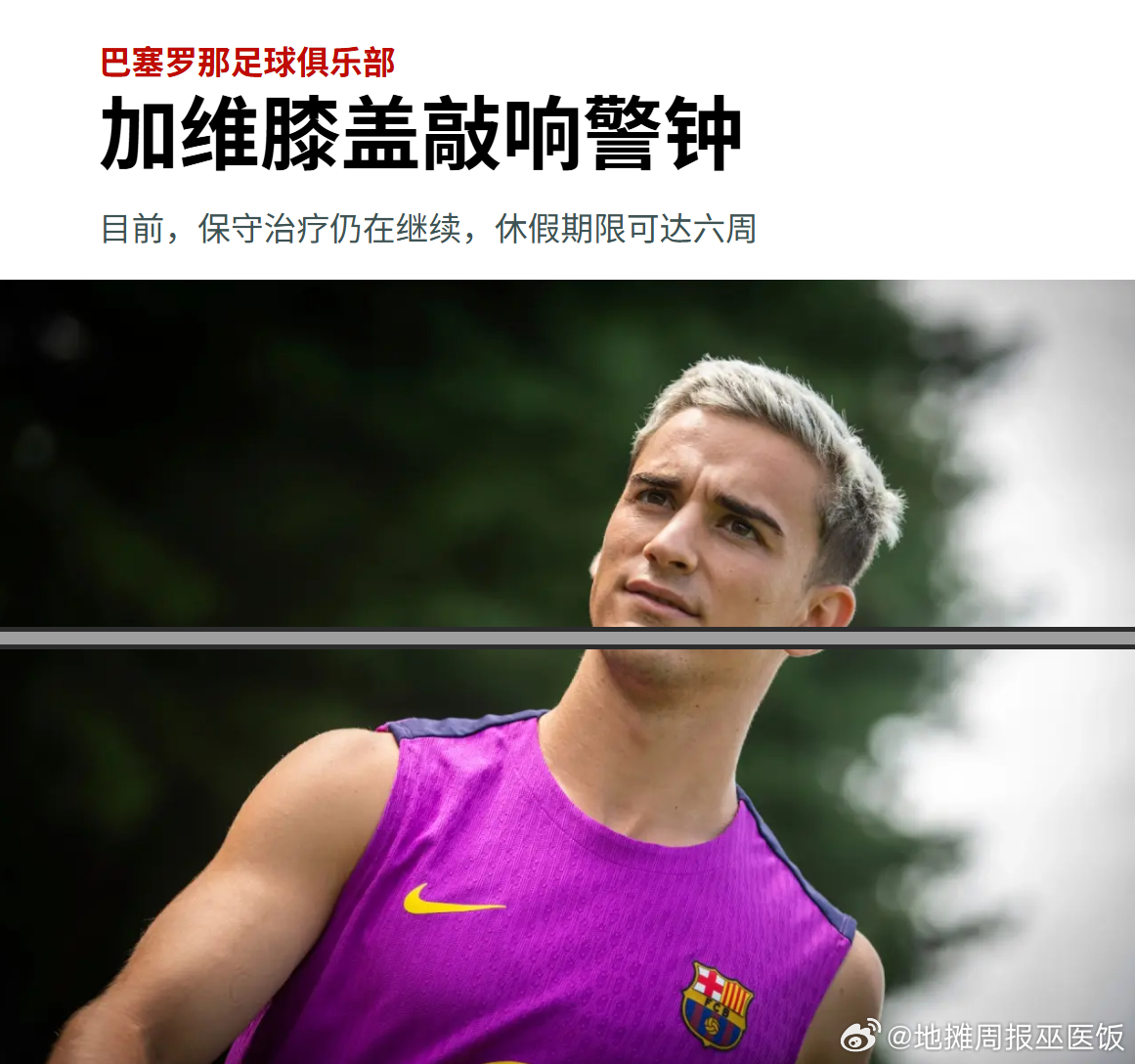 啧，加维逐渐戴斯勒化…… ​​​