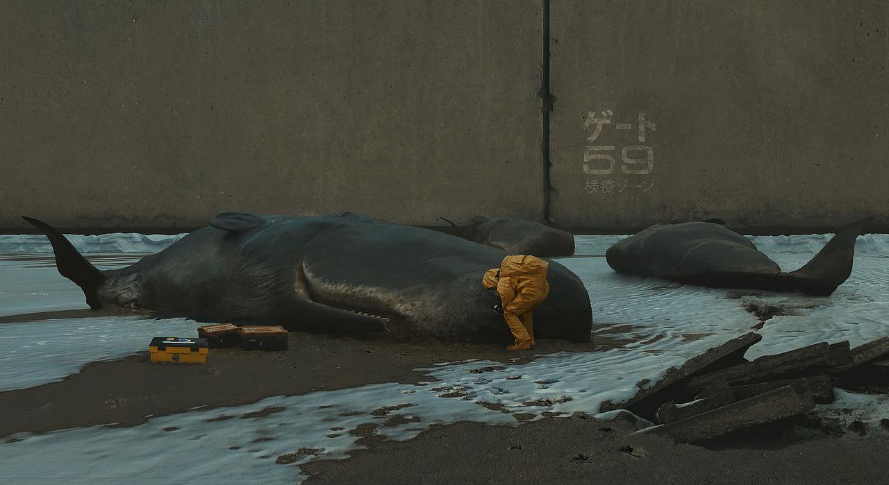 每天认为一位摄影家：

数字绘画摄影家——Michal Karcz（米哈尔·卡尔