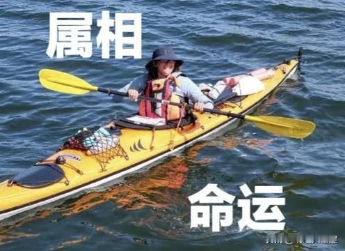 “属相并非命运的操盘手，更非人生的判决书”。

民间常将生肖与命运紧密相连，“属