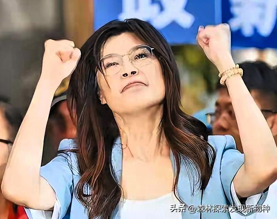 造势口号喊得震天响，彰化一战，赌上国民党2028翻身大计
 
前言
9月6日，国