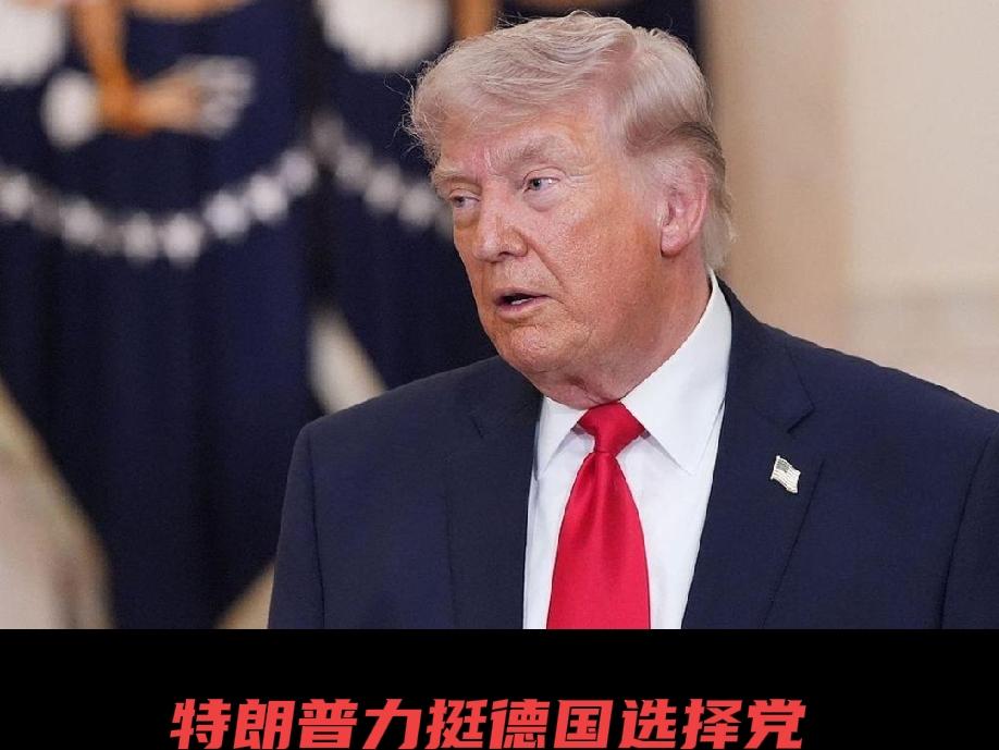 特朗普为何向德国选择党表示祝贺？！
         一、事件背景与时间
   