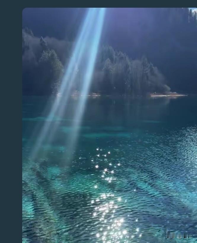 高市早苗支持率暴跌，多重压力致政治困境
 
最新民调显示，高市早苗支持率57%、