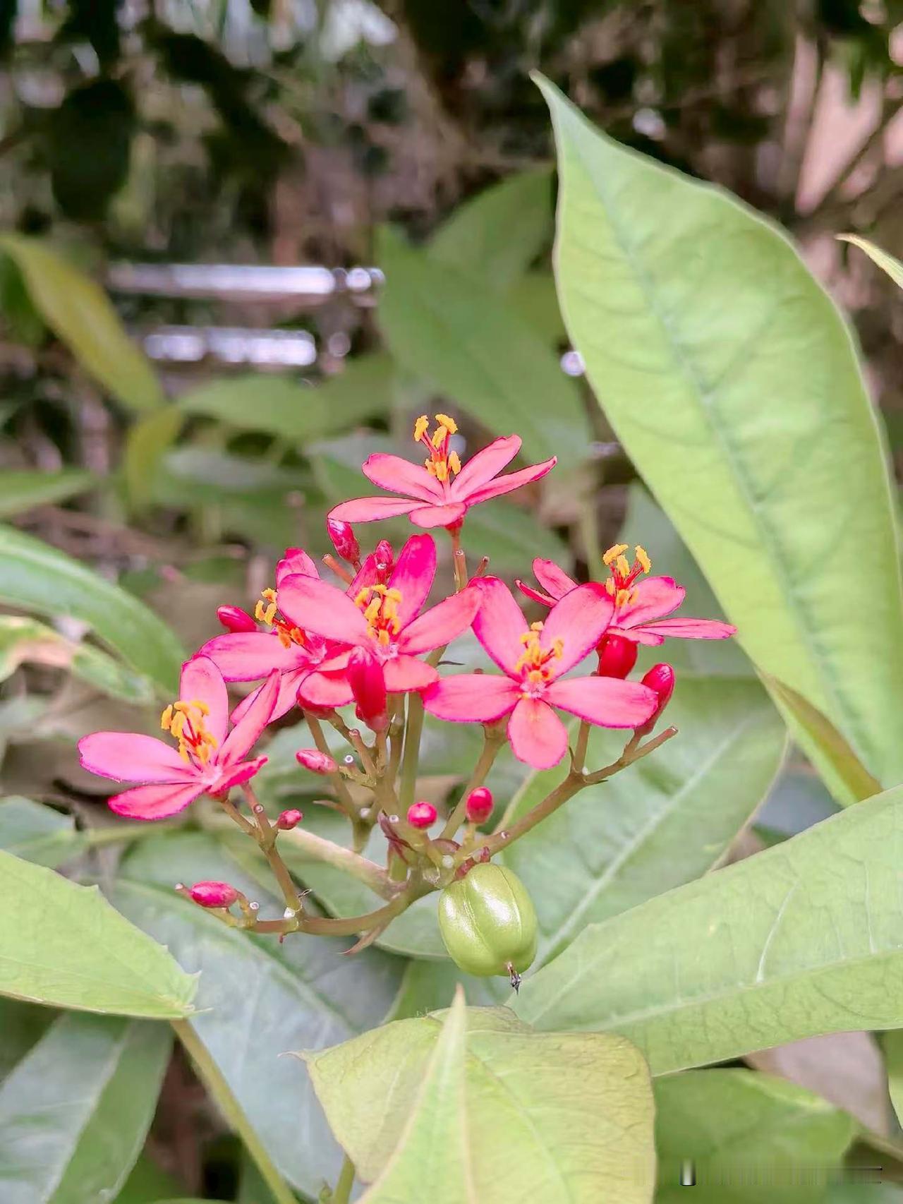 想健康，
你就吃水煮鸡蛋，
喝温开水，
多有氧运动，
多晒太阳，
早睡觉。
​少