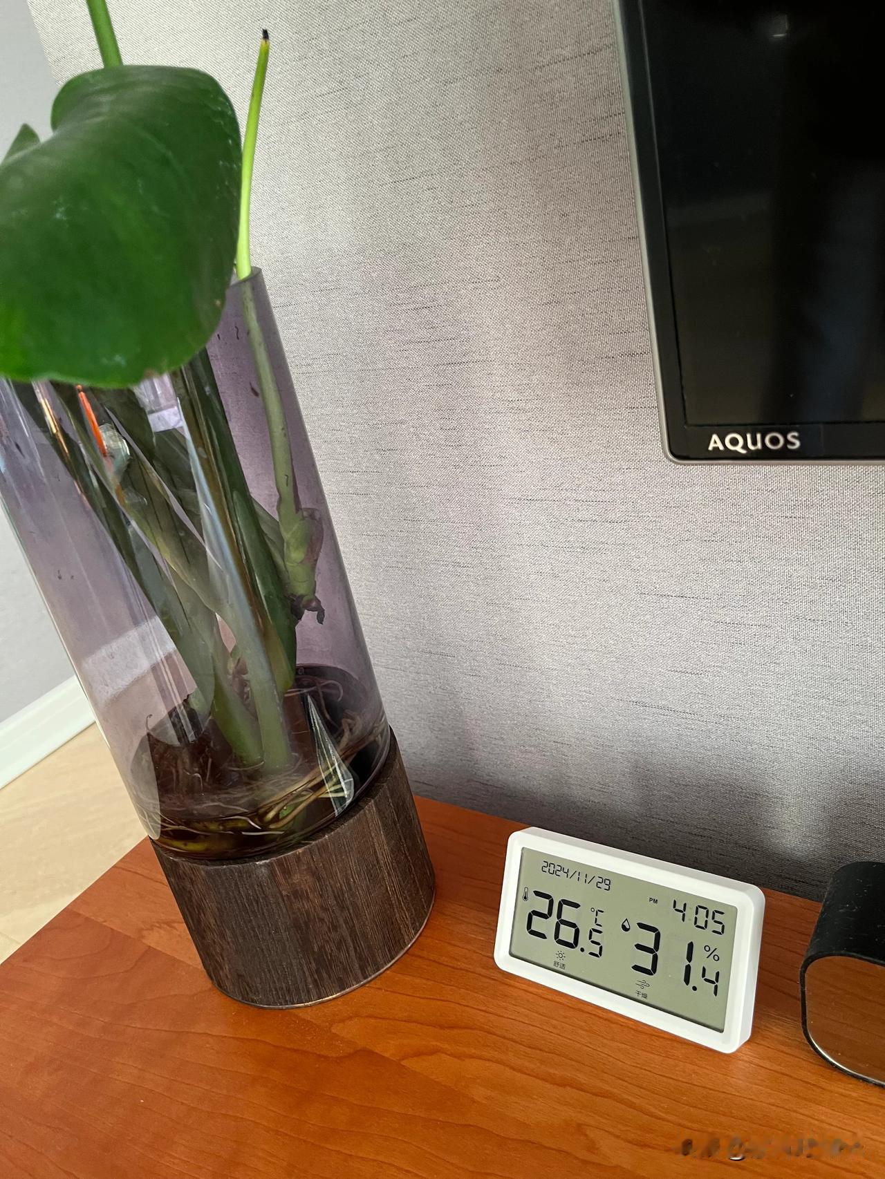 今儿外面十五六度，一点也不冷

下午回家，一看屋里的温度，赶紧大敞开主卧的窗户，