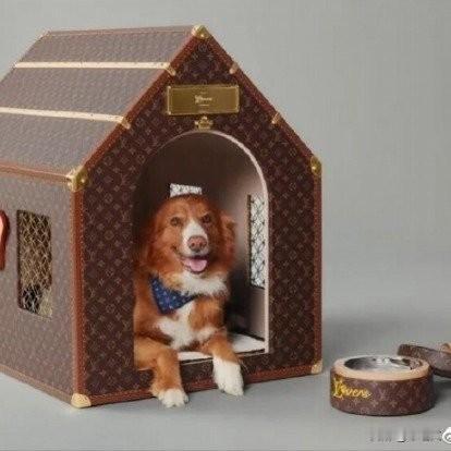 50万LV狗窝能买房？2万爱马仕狗碗遭疯抢，宠娃经济卷上天
 
现在的毛孩子也太