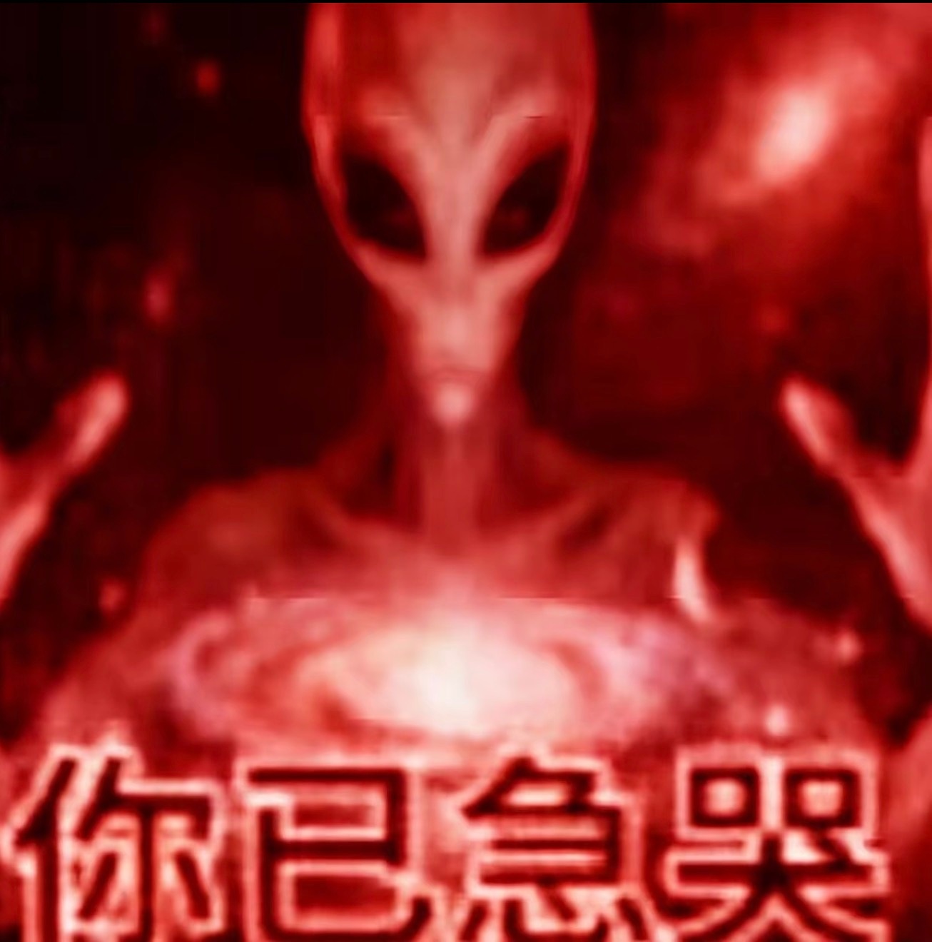 我对下家丝belike： 