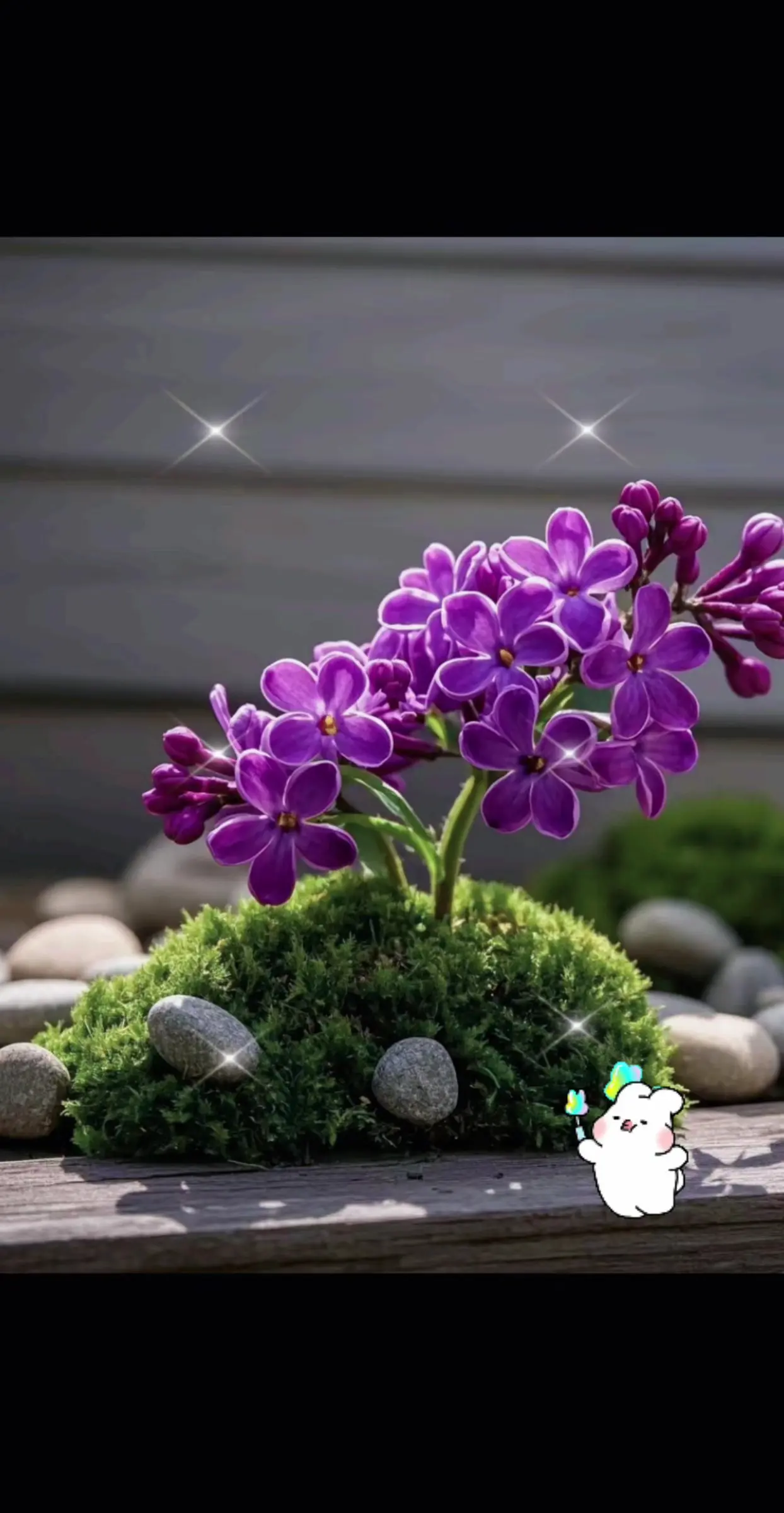 紫色丁香花：通常代表了对过去美好时光的怀念，尤其是那些关于初恋的甜蜜回...