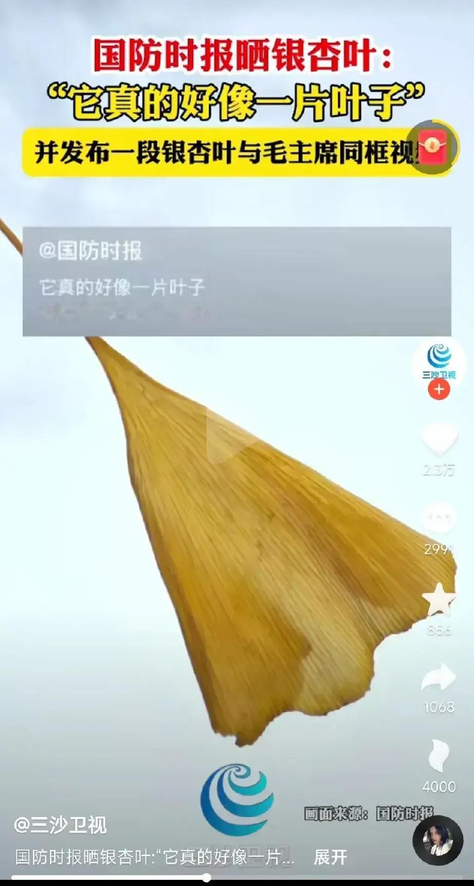 国防官媒于12月26日发布，银杏叶子与毛爷爷同框视频：“它真的好像一片叶子”，另