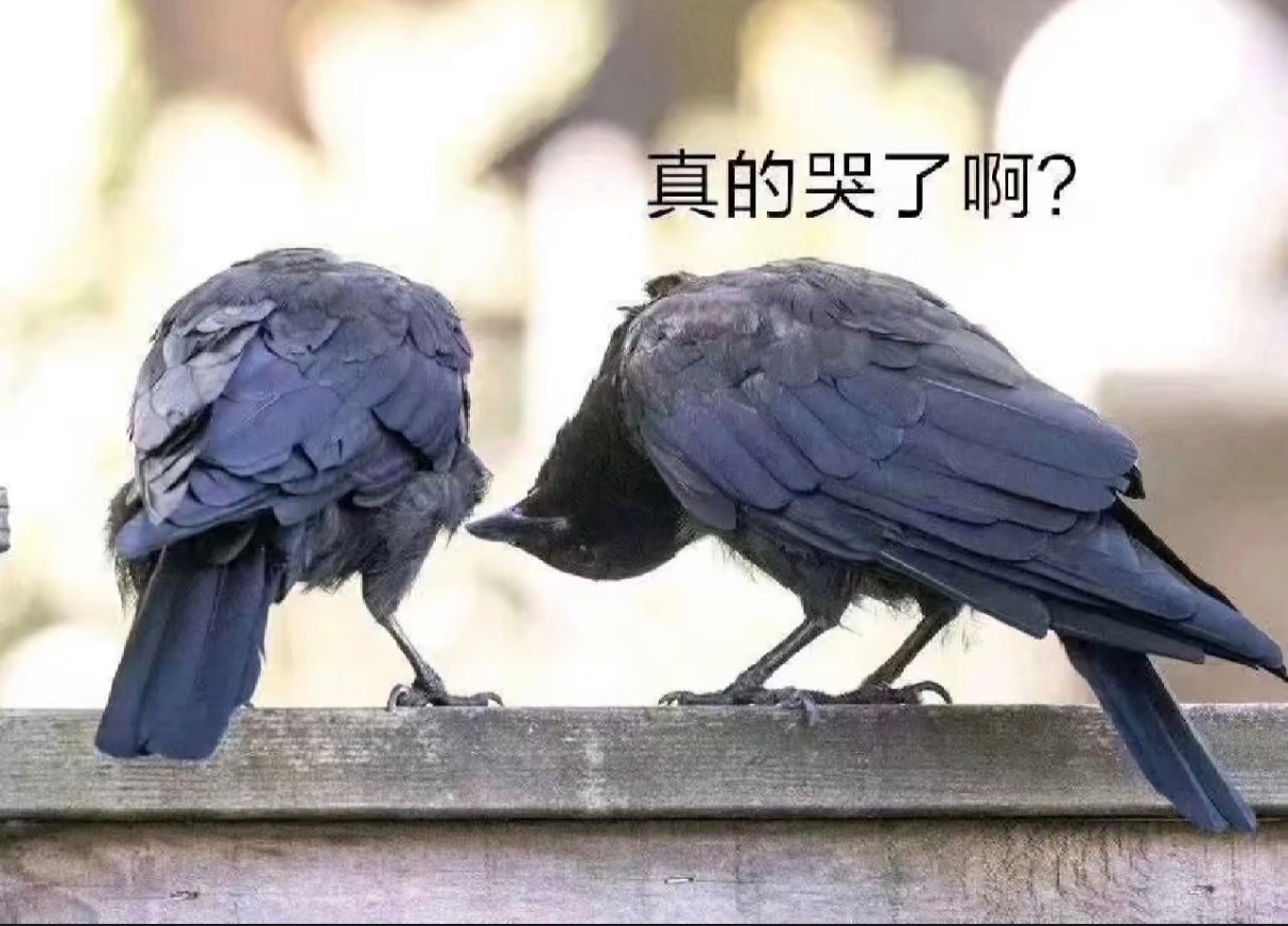 可能有人在偷偷哭吧