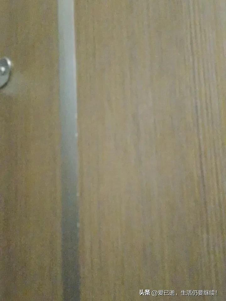 今年春天最想实现的心愿最想就是去一处可以野钓的地方钓上三天三夜的鱼！可是不知道哪