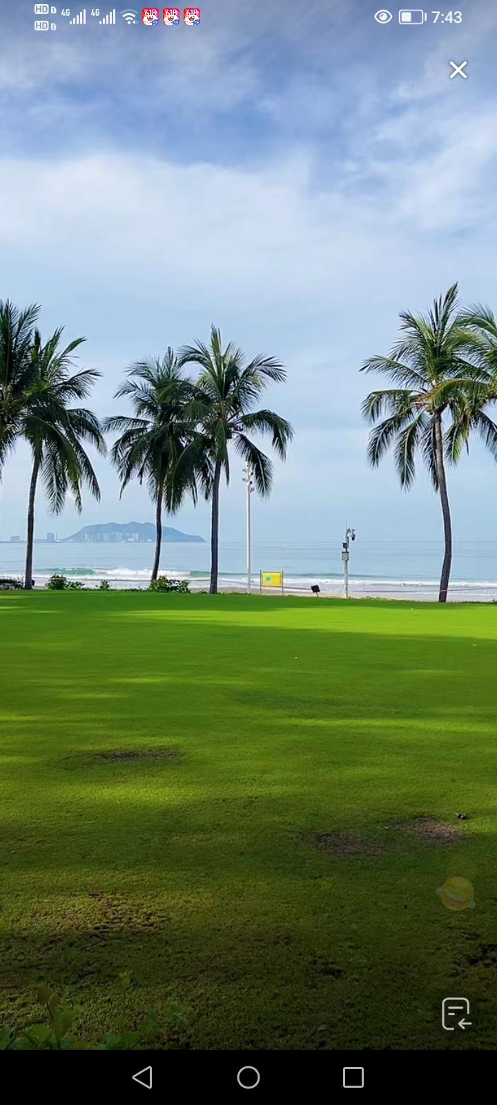 我家猫咪挺适合的，它们很安静，也不会去占别人的位置，只占我的位置，我的脚边就放着