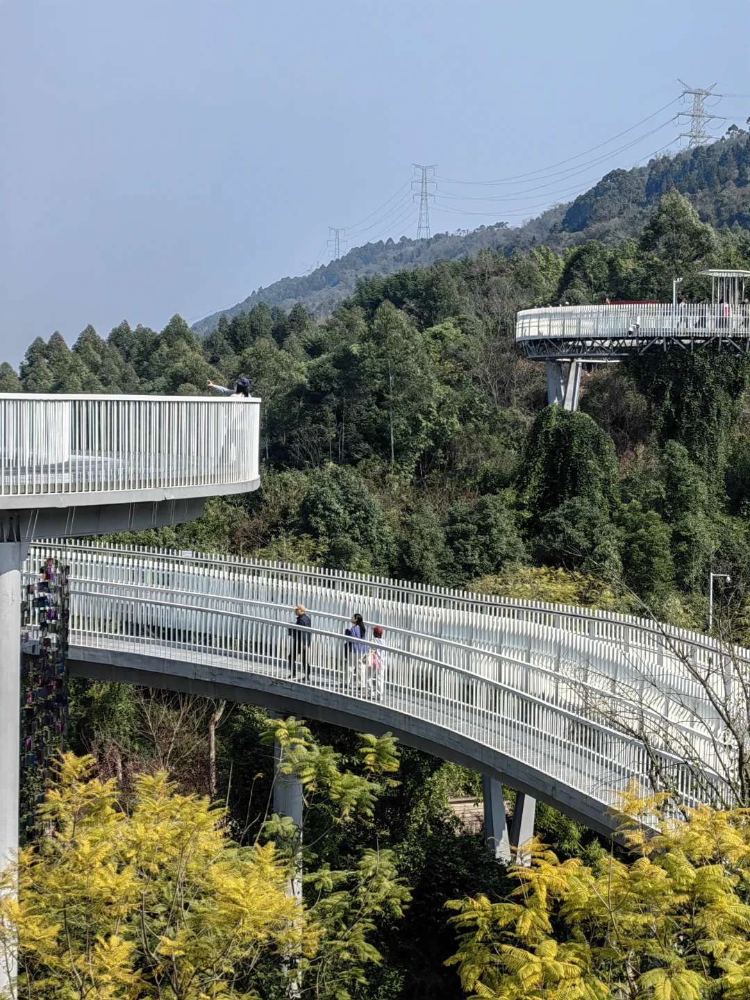 成都过年周边游！🌿龙泉山高空栈道攻略