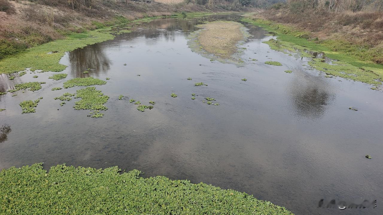 山泉水罗非，这样的罗非怎么可能有泥腥味。上游是山泉水厂没有别的工厂。
出门的时候