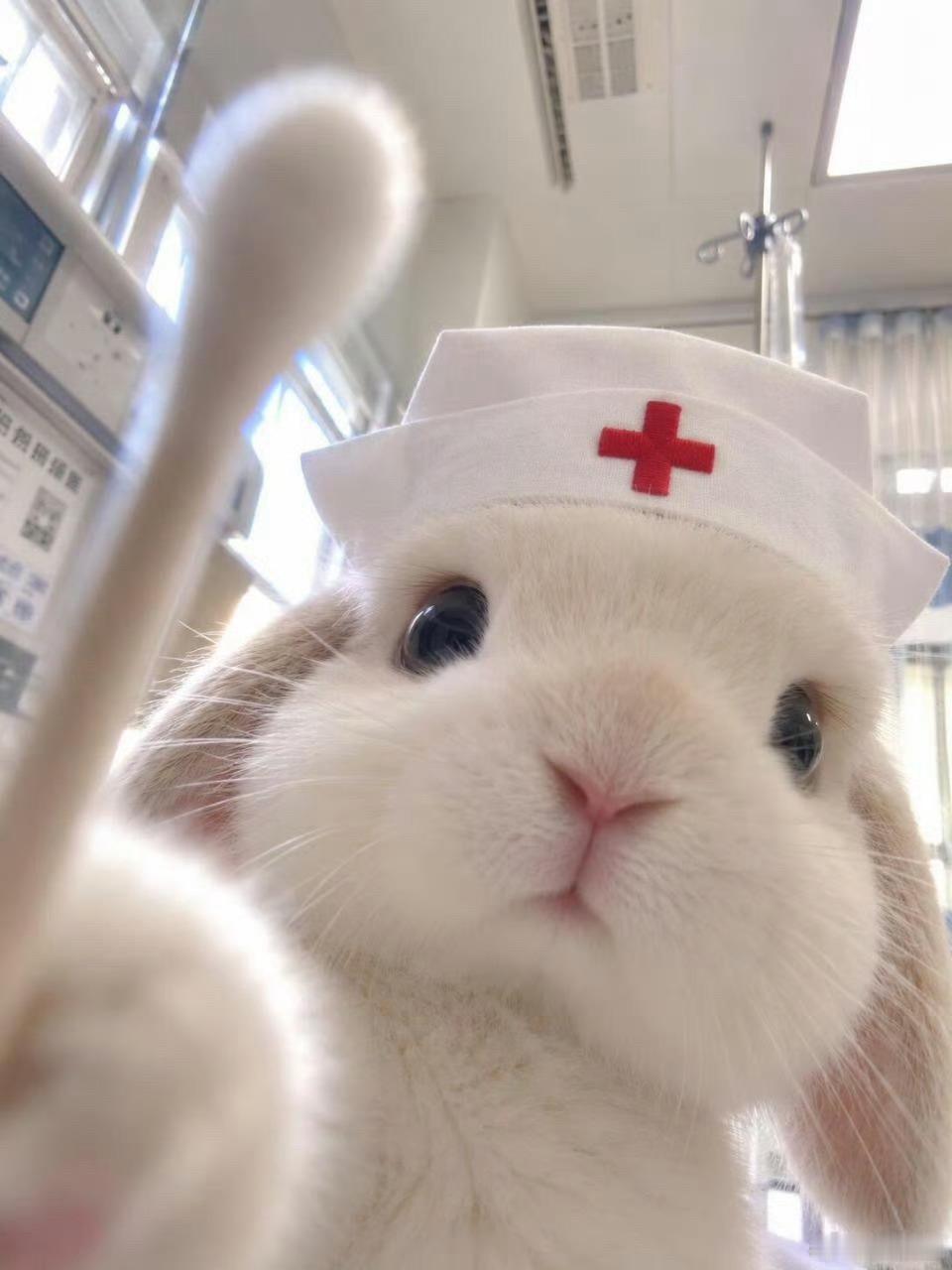 苏新皓给我抹药呢 ​​​
