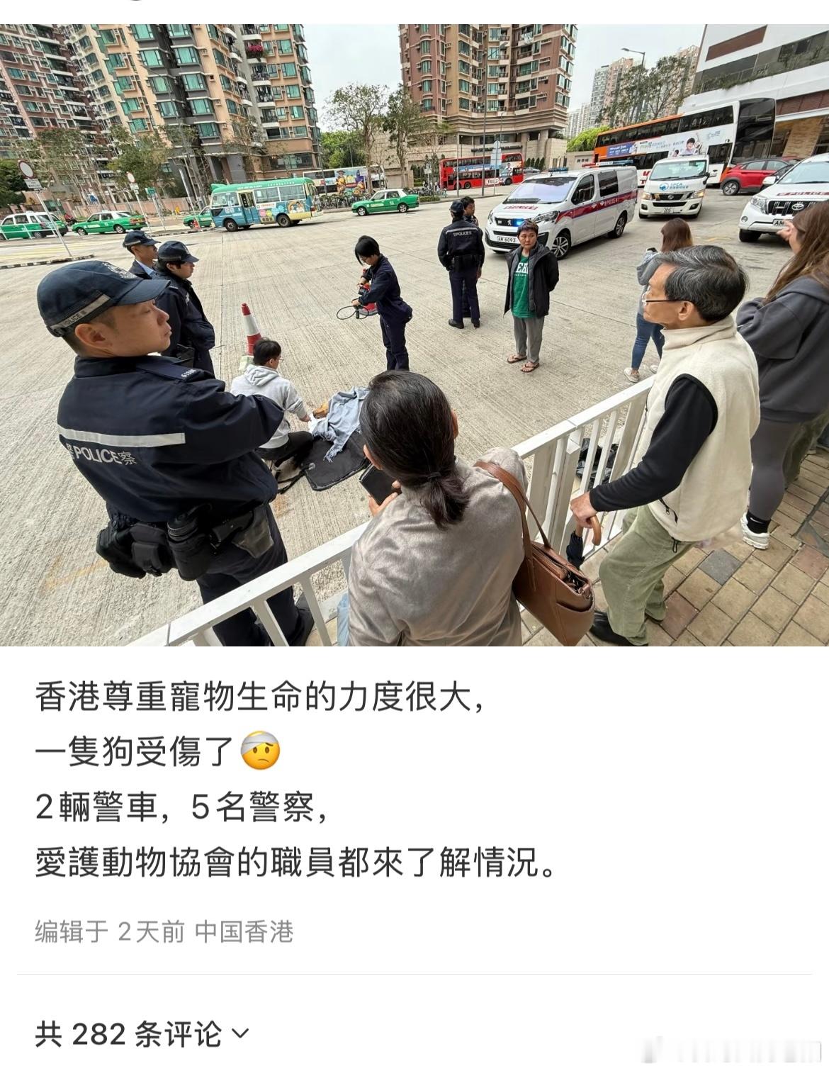 在香港一只狗受伤了两辆警车，五名警察爱护动物协会的职员来了解情况呼吁动物保护法 