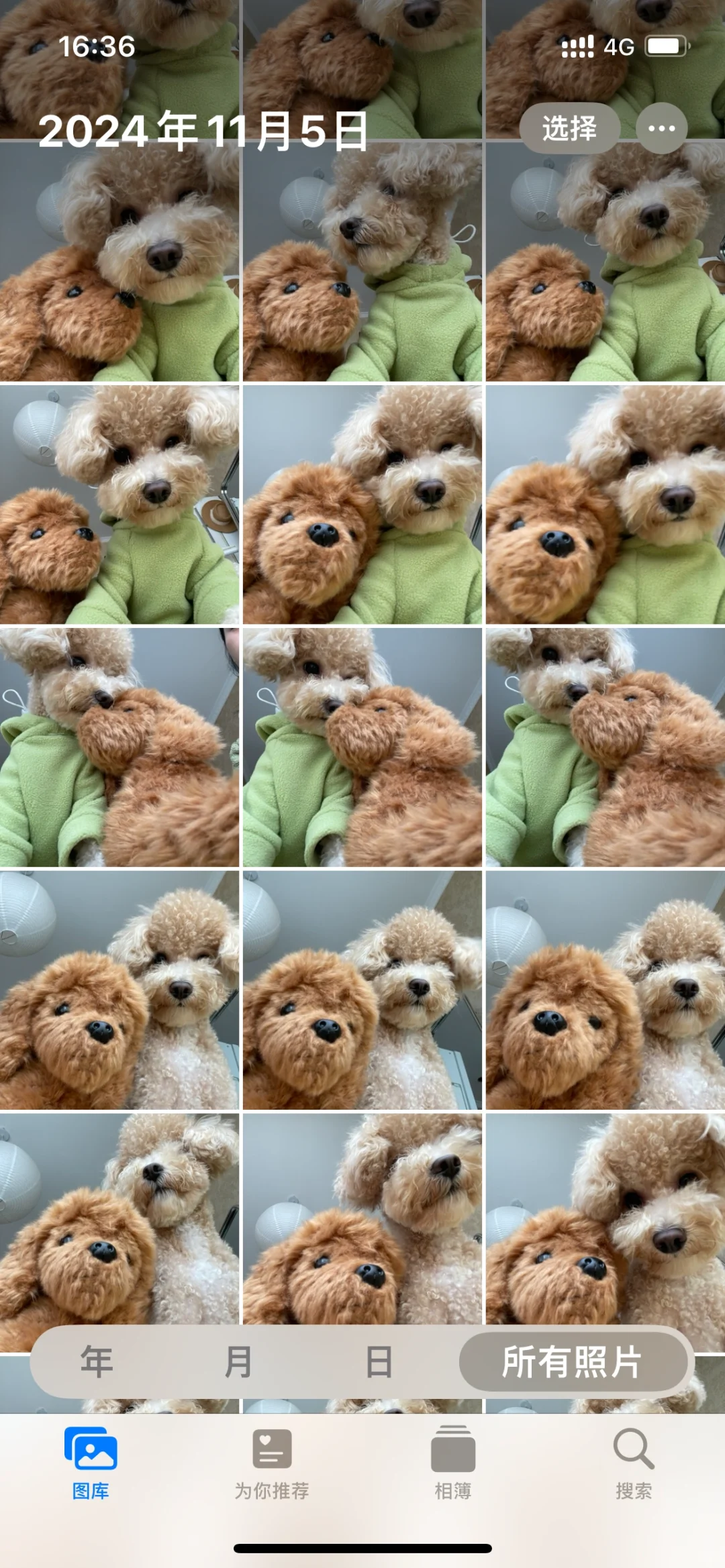 小狗谈女朋友后，当我打开我的手机相册🤳