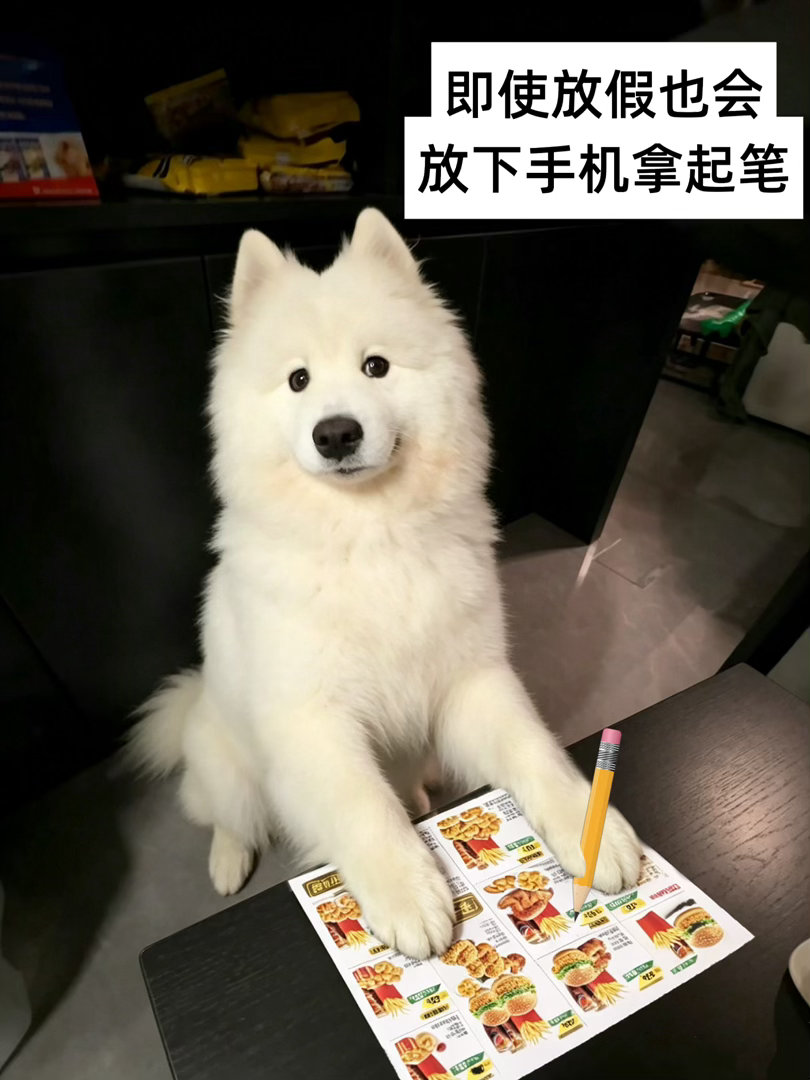 分享图片 ​​​