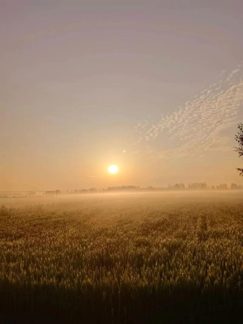 同志们，原来有钱还能这么玩？美国富豪们正在计划像点外卖一样，在半夜“点阳光”。没
