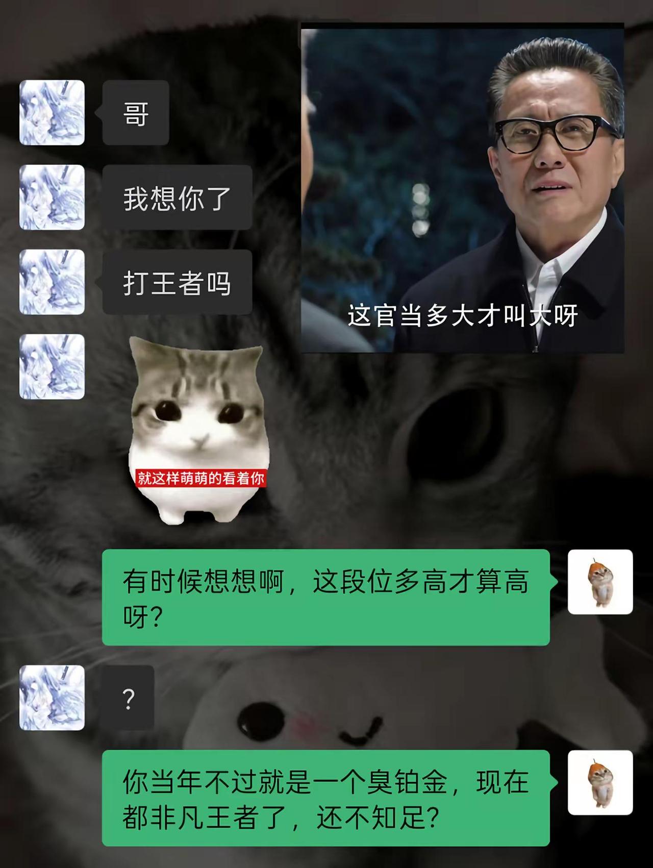 我要摆正位置，你也要摆正位置老妹儿人民的名义