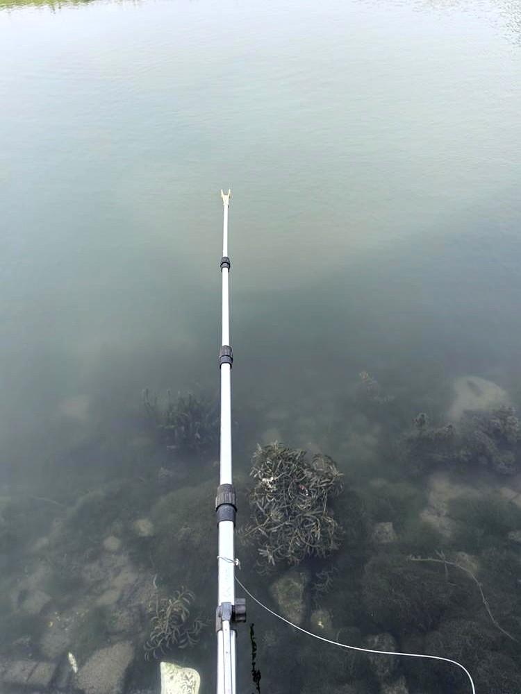 河边这根鱼竿，钓手怕是踩规了！

中午溜达，看见河边浅水里插着根竿，周围小鱼乱窜
