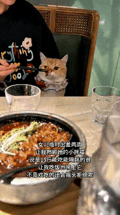 看了这只小胖猫的视频，真的被它可爱到了。
 
平时都是女儿细心照顾它，这次女儿临