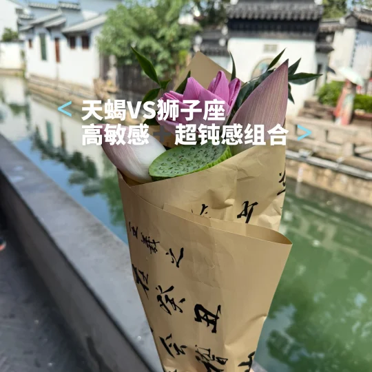 👉天蝎➕狮子=王炸组合💥