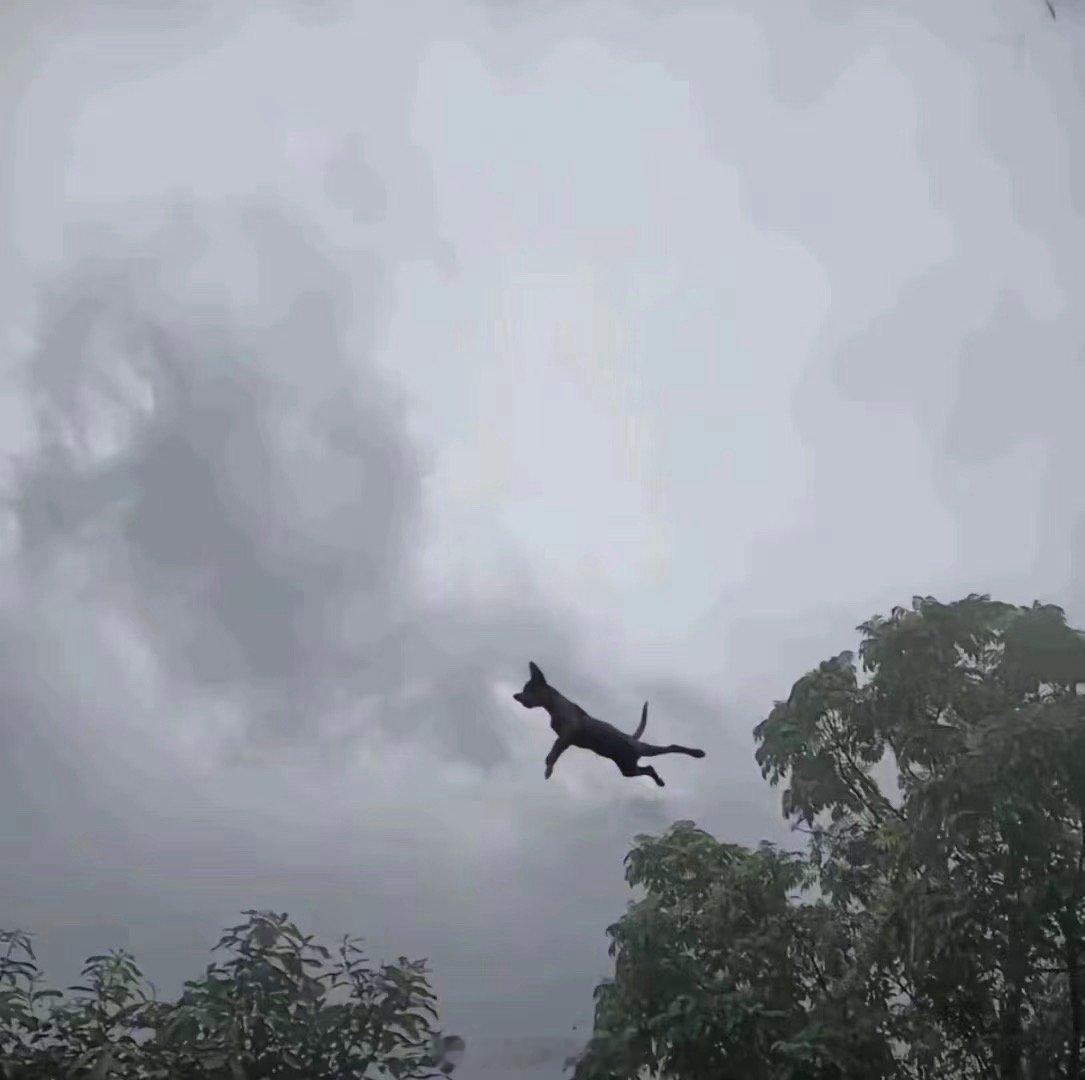 今年第13号台风“贝碧嘉”的中心已于今日7时30分登陆上海浦东临港新城…… ​​