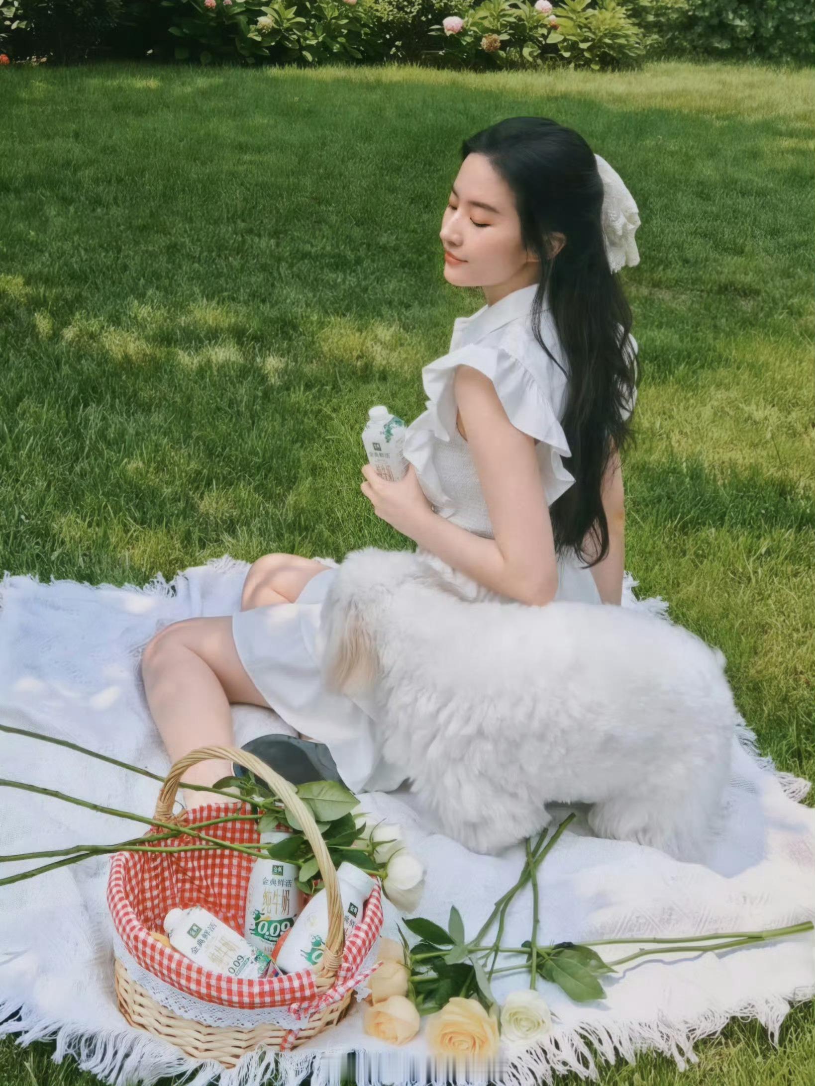 刘亦菲带哈哈晒太阳啊啊啊啊怎么会有这么好看的女孩子好像油画里面走出来  真的好漂