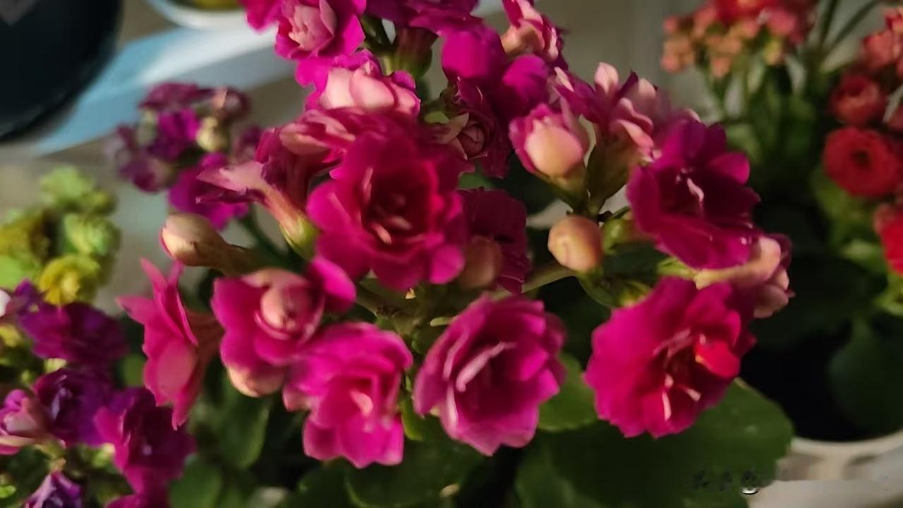 经常帮助老人算是善良吗?
       当然算善良，而且是实打实看得见的善意。
