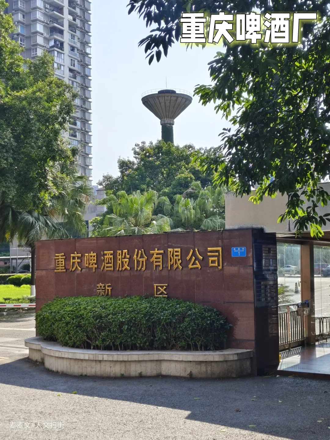 【九龙坡】还记得老山城啤酒的味道吗