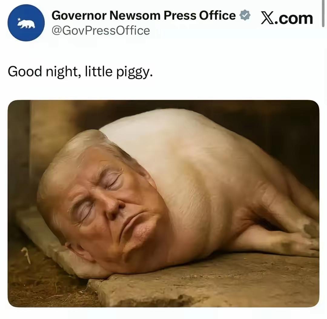 加州州长纽森在推特上发的图片，把普朗普P成猪了，美国的官员胆子真大，州长做为一个