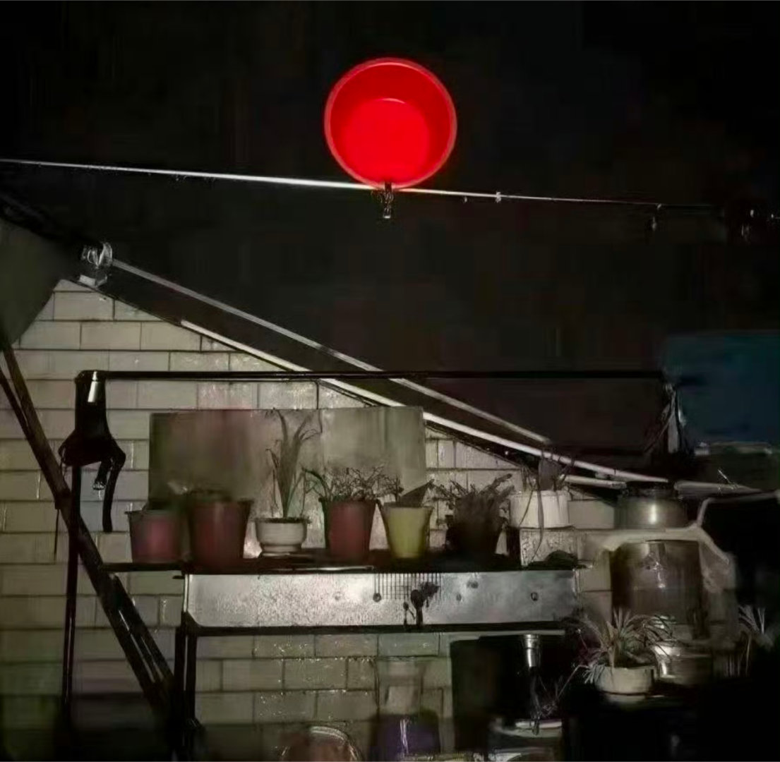 网友拍的血月太抽象了你跟我说这是血月？差点儿我就信了！！！ ​​​