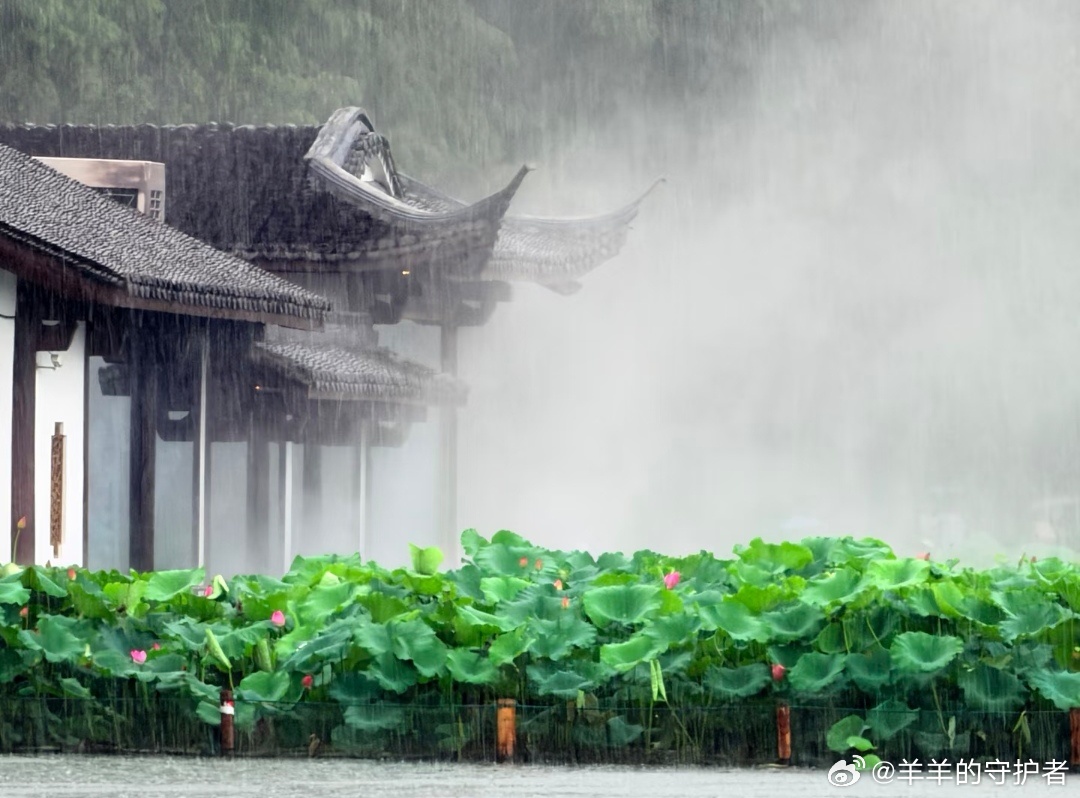 原来古诗里的“烟雨江南”，是这样的。一场雨，一池荷，一亭台，心都跟着慢下来了。临