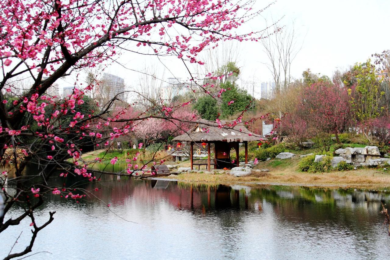 百花潭非浣花溪，寻香道通锦里西。十八里路醉如泥，梅花香艳春风里。[玫瑰][玫瑰]