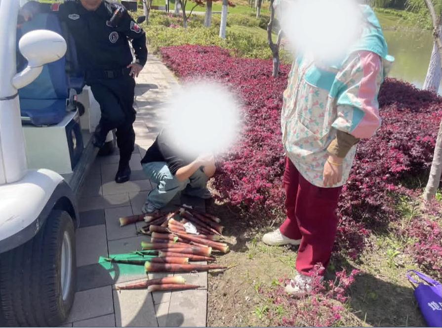 不可思议！南通竟然有人在公园里做这种事？从4月份开始，紫琅公园的养护人员在巡查中
