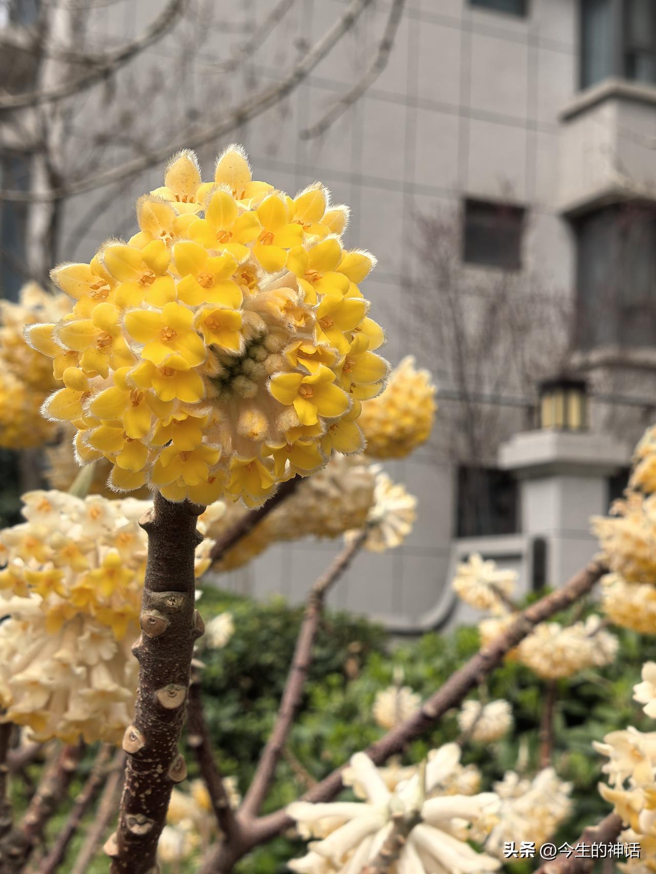 一句话记录春日心情，我用朱熹《春日》里一句来代表：
“胜日寻芳泗水滨，无边光景一