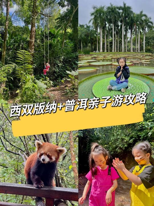 一家老小玩了西双版纳…回家才敢说的大实话