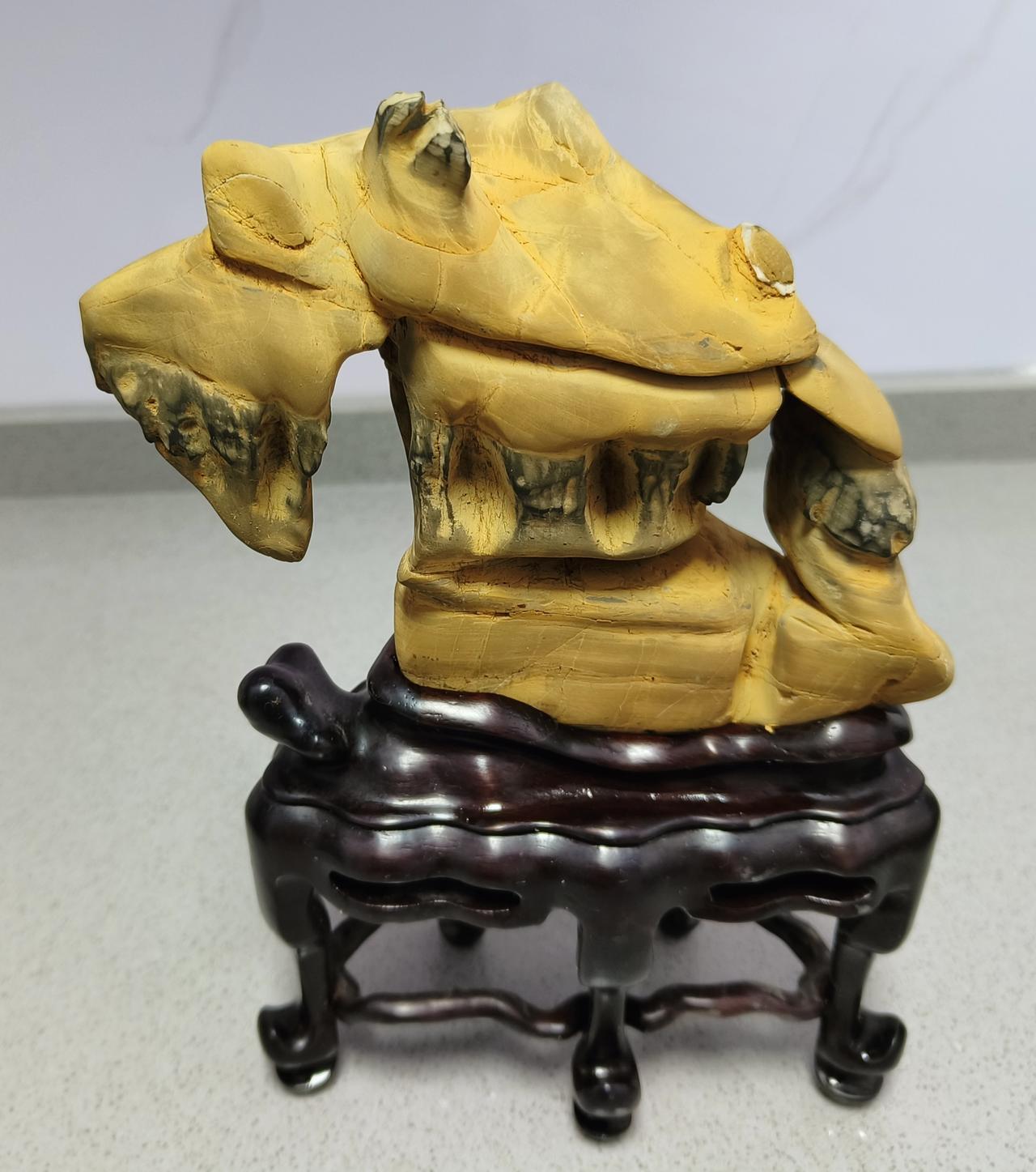 老市区的医院慢慢都搬出去了！市立医院，四院，中医院都搬走了，以后老市区的人看病都